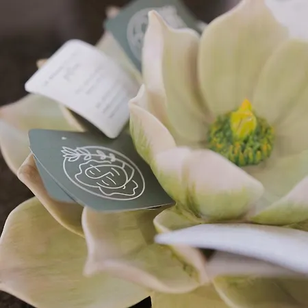 La Maison Di Carla 4* Ancona