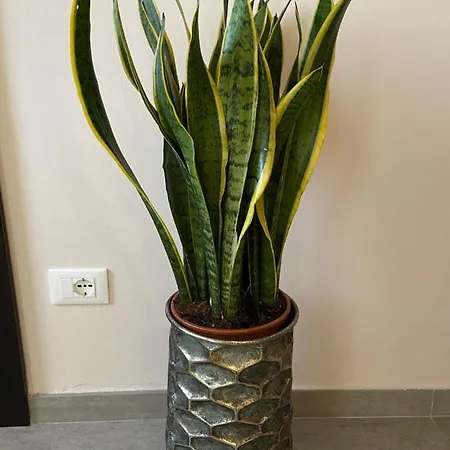 Gasthof La Maison Di Carla 4*